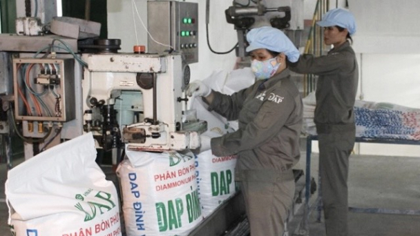 DAP Vinachem trả cổ tức còn lại năm 2022 bằng tiền tỷ lệ 5%