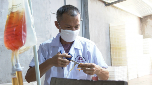 Khi người chăn nuôi hiểu được vai trò của tiêm phòng vacxin