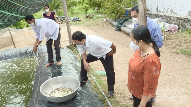 1.300ha nuôi tôm bị thiệt hại, Trà Vinh tăng cường cán bộ thú y về địa phương