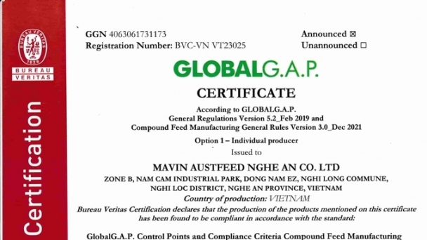 Mavin Austfeed Nghệ An đạt chứng nhận Global GAP