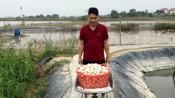 Trứng vịt biển Đồng Rui