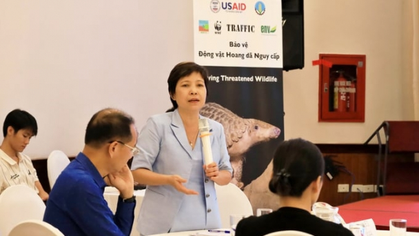 Giải quyết các lỗ hổng khi hướng tới thương mại động vật hoang dã