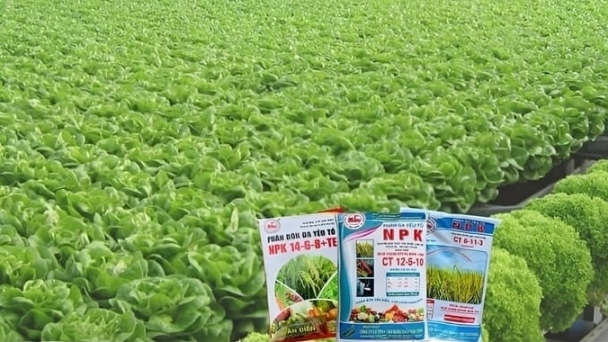 Hướng dẫn chọn phân bón Văn Điển cho cây trồng vụ đông xuân