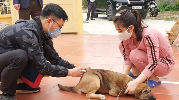Để bệnh dại lây lan do lơ là, lãnh đạo xã, phường chịu trách nhiệm
