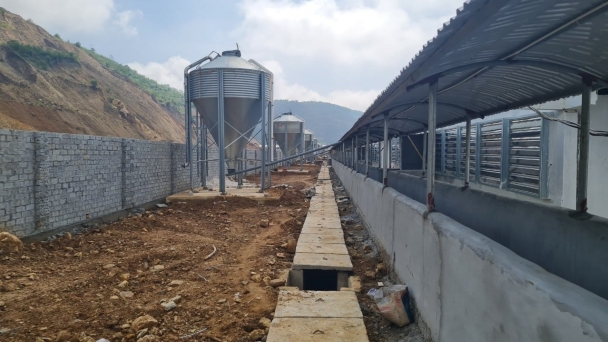 Trang trại lợn thi nhau mọc lên gây quan ngại về môi trường