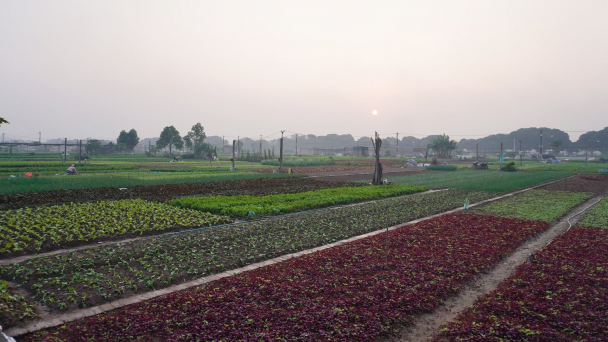 Giải pháp giảm thiểu sử dụng vật tư nông nghiệp thích ứng biến đổi khí hậu