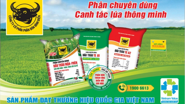 Vòng tuần hoàn xanh hiệu quả