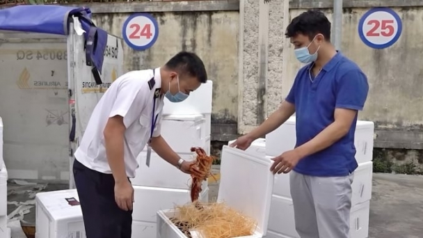 Doanh nghiệp giảm được 50-70% chi phí kiểm dịch động vật