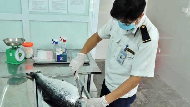 Thông tư 06, 09 về kiểm dịch động vật, thủy sản phát huy hiệu quả