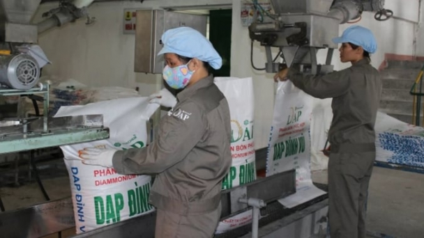 DAP Đình Vũ đạt doanh thu gần 3.300 tỷ đồng năm 2023