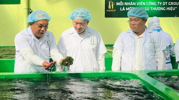 DT Group sẽ phát triển nông nghiệp kết hợp du lịch