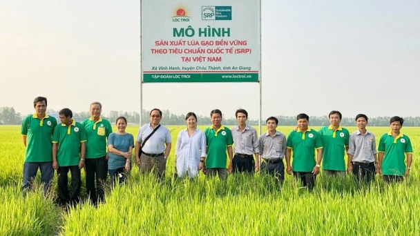 Có thể lồng ghép chương trình giảm phát thải với giải pháp ‘3 giảm 3 tăng'
