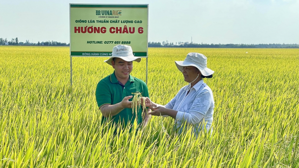 'Phải lòng' Hương Châu 6