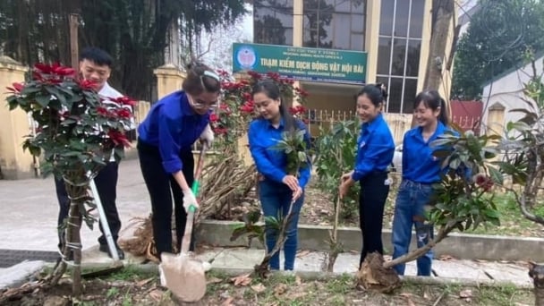 Đoàn Thanh niên Chi cục Thú y vùng I ra quân trồng cây Tháng Thanh niên