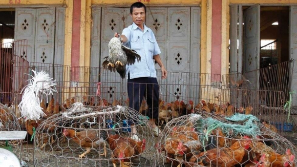22.000 cơ sở giết mổ động vật nhỏ lẻ tiềm ẩn nguy cơ bùng phát dịch bệnh