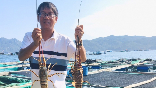 Tuân thủ phác đồ điều trị bệnh trên tôm hùm