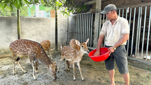 Nuôi loài vật cả người nuôi và người dùng đều khỏe