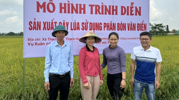 Phân bón đa yếu tố NPK Văn Điển cho lúa đông xuân Hà Tĩnh
