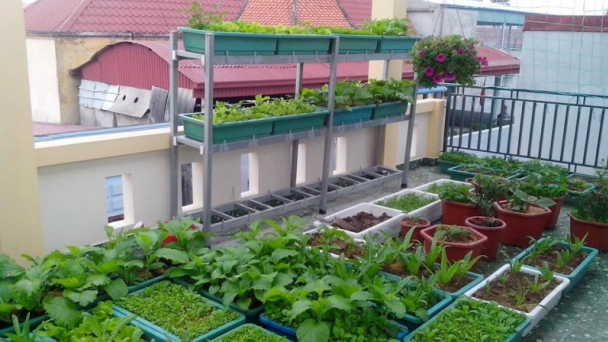 Đa dạng sản phẩm phục vụ nhu cầu nông nghiệp đô thị