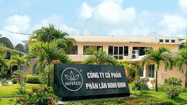 Phân lân Ninh Bình bùng nổ doanh thu trong nửa đầu 2024
