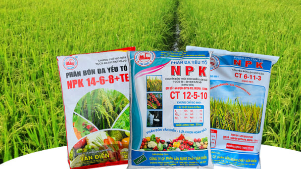 Phân bón đa yếu tố NPK Văn Điển cho lúa mùa tại Thái Nguyên, Bắc Kạn