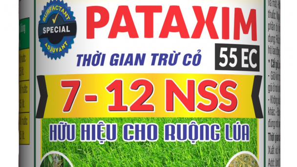Pataxim 55EC: Sản phẩm chuyên diệt các loại cỏ hiệu quả cho ruộng lúa