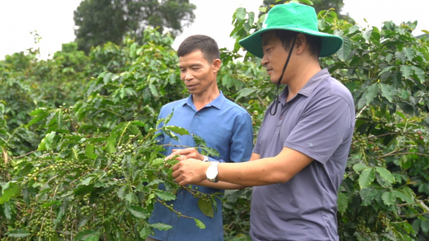 'Nếu dùng phân bón Tiến Nông không hiệu quả, chúng tôi sẽ không lấy tiền’