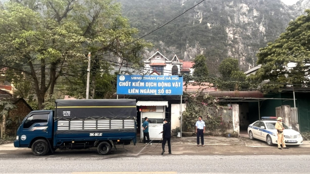 Hà Nội siết chặt công tác kiểm dịch động vật