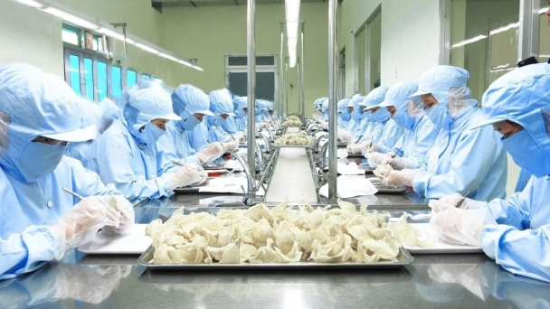 Phân cấp giám sát dịch bệnh tổ yến: Bước then chốt thúc đẩy xuất khẩu