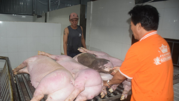 Giết mổ tập trung gặp khó vì '3 thiếu'