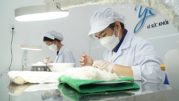 Chuẩn hóa điều kiện xuất khẩu tổ yến sang Trung Quốc