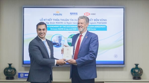 Mavin lọt Top 'Công ty có giải pháp Phát triển bền vững tốt nhất châu Á'