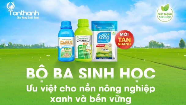 Nông nghiệp xanh – con đường bền vững