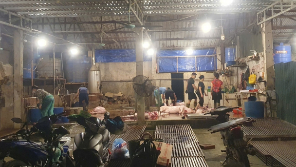 Cần xử lý dứt điểm hàng loạt cơ sở giết mổ lợn không phép