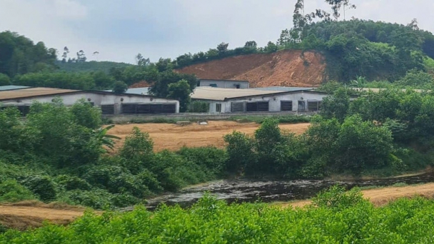 Xử lý dứt điểm ô nhiễm môi trường chăn nuôi tại Nghĩa Lộc