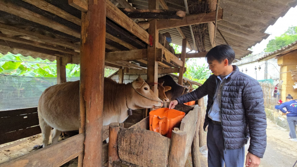 Chuyện chưa kể về thú y cơ sở [Bài 8]:Thử thách ở chính quyền 2 cấp