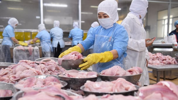 PAN đạt doanh thu năm 2025 hơn 17.500 tỷ đồng