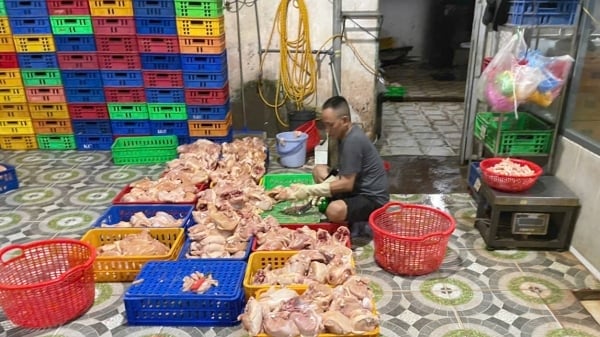 TP.HCM phát hiện cơ sở giết mổ trái phép 300 con gà