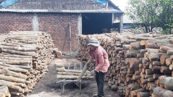 Hậu Giang kiểm soát chặt sản xuất than củi bảo vệ môi trường