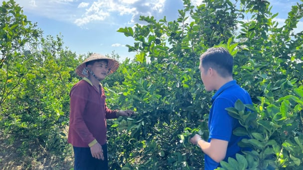 Những điểm tựa vững chắc giúp người dân thoát nghèo bền vững