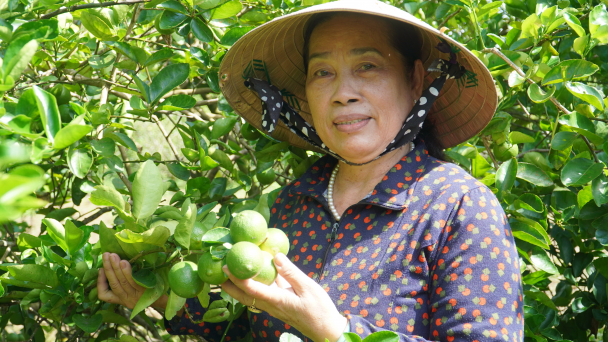 Người phụ nữ kéo nhiều gia đình ra khỏi danh sách hộ nghèo