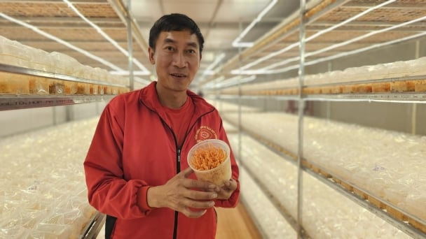 Biến dược liệu quý thành sản phẩm phổ thông