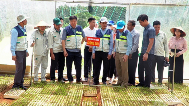 Tổ khuyến nông cộng đồng là trung tâm trong liên kết '4 nhà'