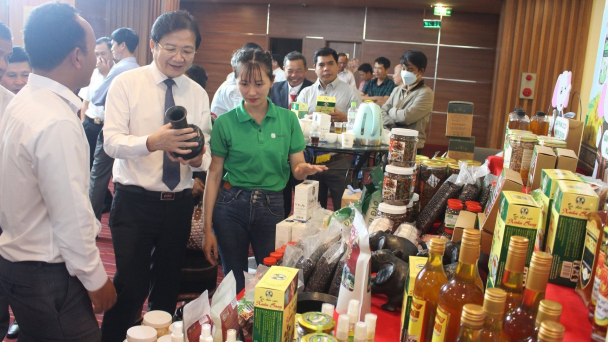 OCOP nâng tầm nông sản Đắk Lắk