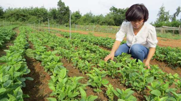Phát triển kinh tế để giảm nghèo bền vững