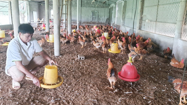 Hỗ trợ nông dân giảm nghèo đi lên giàu có