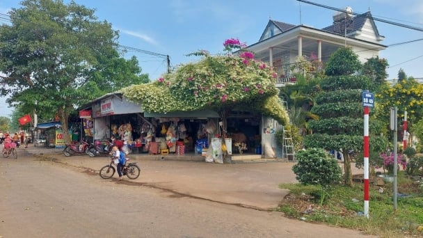 Bình Thuận bừng sáng [Bài 1]: Xã đầu tiên về đích nông thôn mới nâng cao