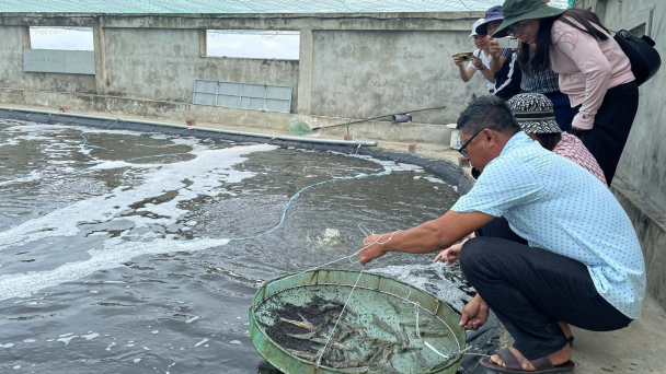 Con tôm - câu chuyện vùng nuôi Bắc Trung bộ [Bài 1]: Hào hứng nuôi tôm trong ao đất lót bạt