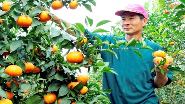 Xây dựng nông thôn mới ở một xã khó khăn nhất huyện Thường Tín