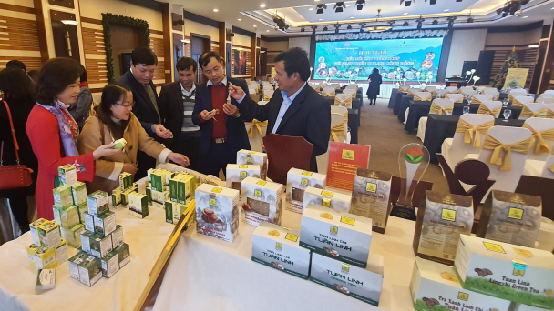 Đưa nông sản sạch ra thị trường lớn